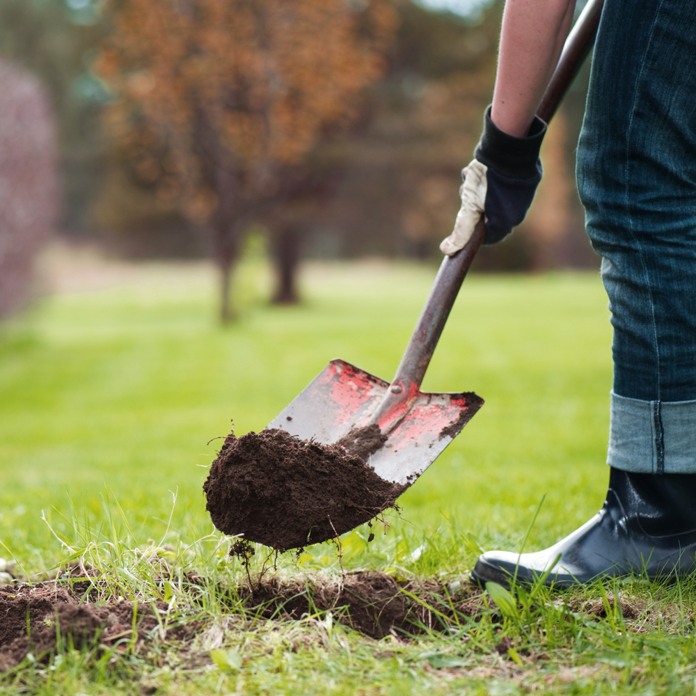 Tree Planting Accessories