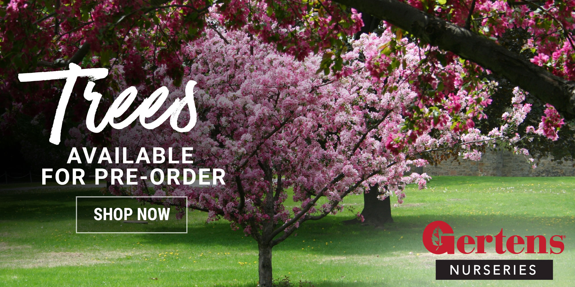 Browse All Trees Gertens