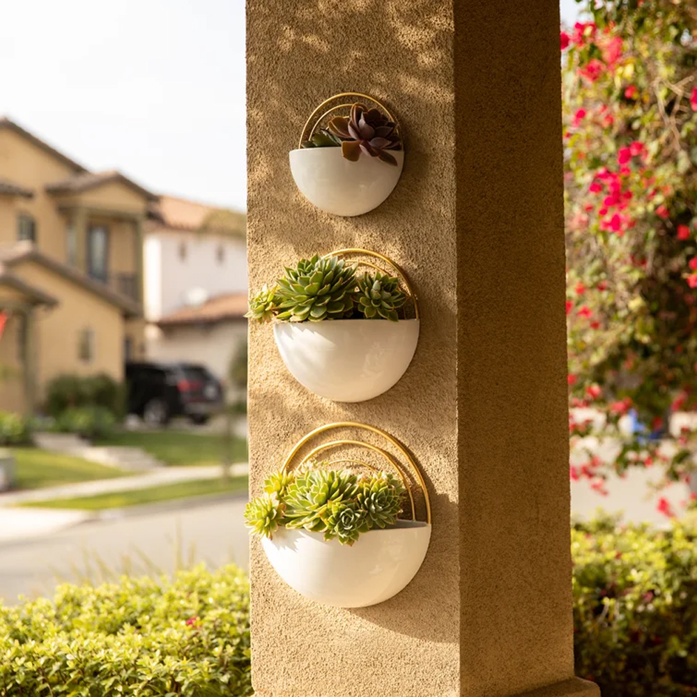 Wall Planters