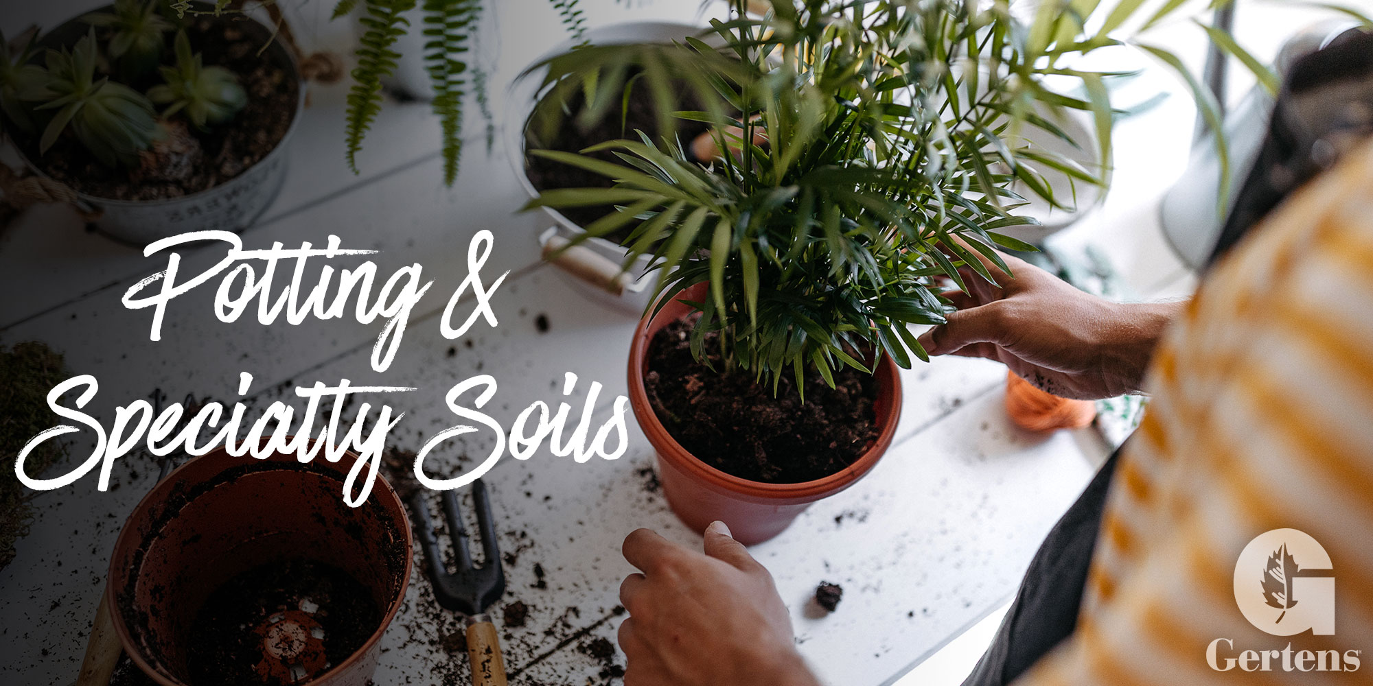 Potting & Specialty Soils
