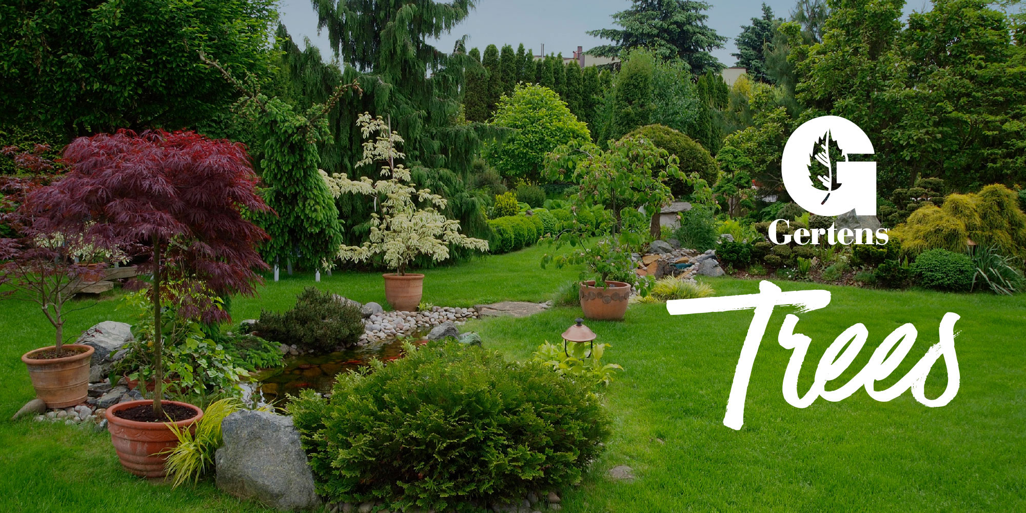 Browse All Trees Gertens