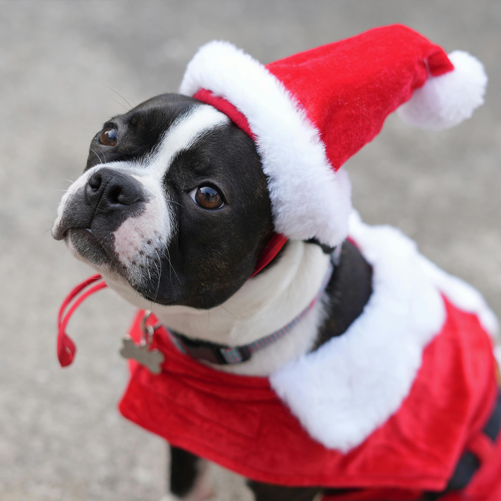 Wearable Christmas Gifts