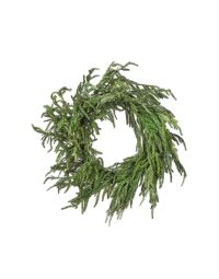 Pine, Norfok Pine Iced Wreath 24"