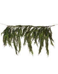 Regency Real Touch Norfolk Pine Drippng Garland, 40X27"