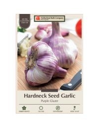 Allium, Seed Garlic Hardneck 'Purple Glazer'