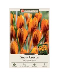 Crocus, Snow Crocus 'Orange Monarch'