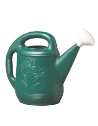 Novelty, 2 Gallon Watering Can, Green