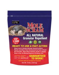 Mole Scram