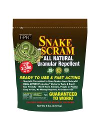 Snake Scram