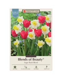 All Fall Bulbs, Blends of Beauty 'Sugar Rush'
