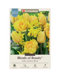 All Fall Bulbs, Blends of Beauty 'Hello Sunshine'