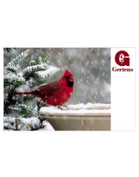 Cardinals Bird Bath - Gift Card