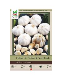 Allium, Softneck Seed Garlic 'California'