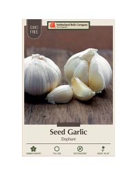 Allium, Seed Garlic Softneck 'Elephant' (fall)
