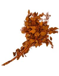 Eucalyptus with Seed Heads, Dipped 'Terra Cotta'