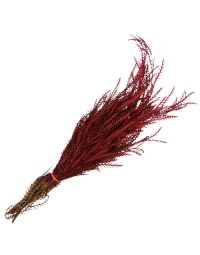 Grevillea Ivanhoe, Dipped 'Red'