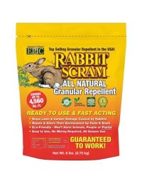 Rabbit Scram