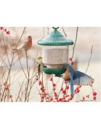 Songbird Essentials™ Clingers Only Feeder Green