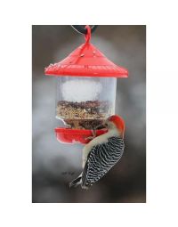 Songbird Essentials™ Clingers Only Red