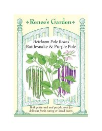 Phaseolus, Bean (Pole) Mix, Rattlesnake & Purple Pole ~ 55 seeds
