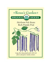 Phaseolus, Bean (Pole), Rich Purple Pod ~ 50 seeds