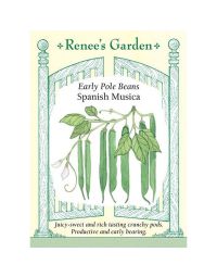 Phaseolus, Bean (Pole), Spanish Musica ~ 30 seeds