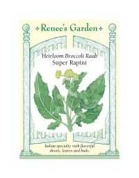 Brassica, Broccoli Raab, Super Rapini ~ 500 seeds