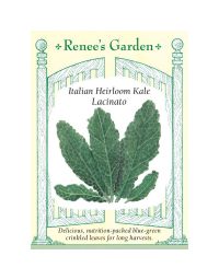 Brassica, Kale, Lacinato ~ 275 seeds