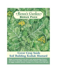 Brassica, Kodiak Mustard Cover Crop Seeds, Bonus Pack, ~ 300 sqft