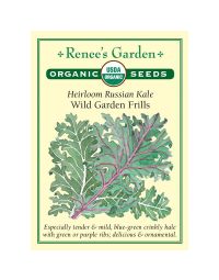 Brassica, Russian Kale Mix, Wild Garden Frills ~ 300 seeds