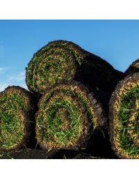 Shade Sod Rolls