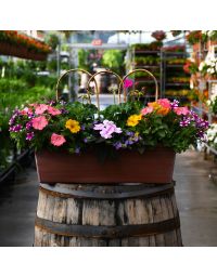 'Awesome Combo' Window Box