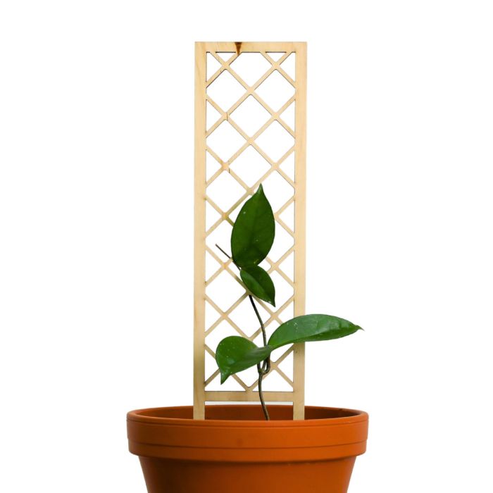 Mossify Cross-Hatch Wooden Trellis | Gertens Garden Center