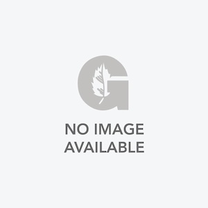 Sunset Vista Designs Solar Garden s Purple Moon with Dragonfly Solar Stake