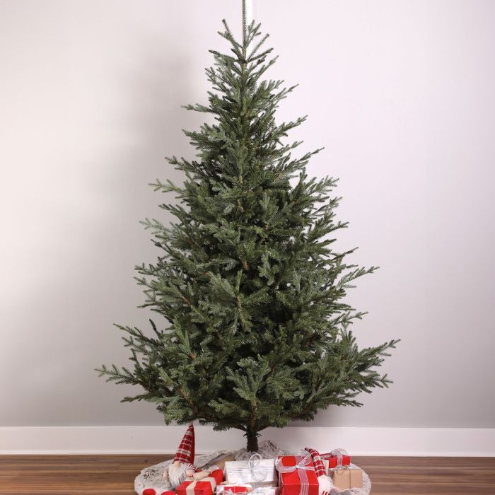 Minnesota Spruce Unlit, Gabriel Tree® Artificial Christmas Tree