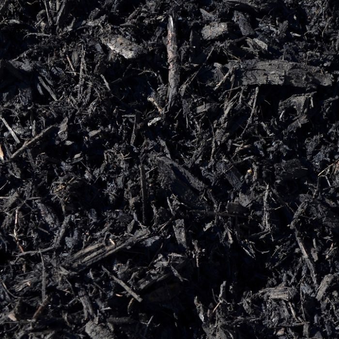 ブラックハーブ　３００ml ブラックハーブ- 【エステ商材】【エステ卸】サロン向け美容商材の美肌