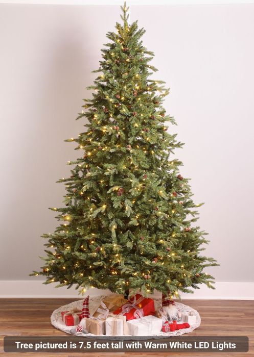Minnesota Winnibigoshish Fir with Dual LEDs, Gabriel Tree