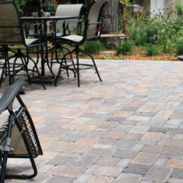 バロックウッドボレー BORGERT Cracovia 60mm 3x6