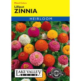 Zinnia Mix 'Lilliput' Heirloom | Gertens Garden Center
