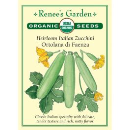 Porno multfilm Chowder