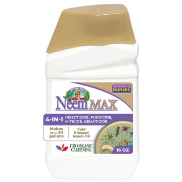 BONIDE 026 Captain Jack’s Neem Max Concentrate, 1 pint