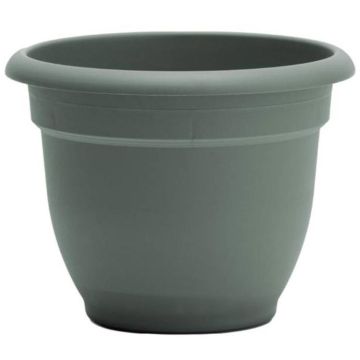 Bloem, Ariana Self Watering Planter, Basil