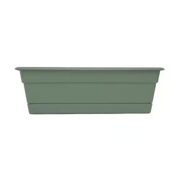 Bloem, Dura Cotta Window Box, Basil