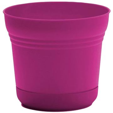 Bloem, Saturn Planter, Fuchsia