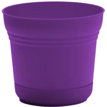Bloem, Saturn Planter, Royal Lilac