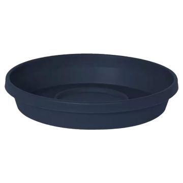 Bloem, Terra Saucer, Navy