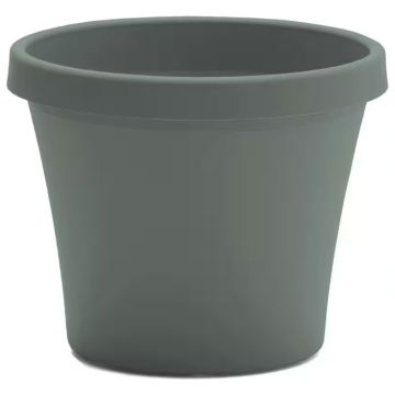 Bloem, Terra Planter, Basil
