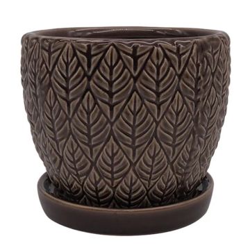 Border Concepts, Sherborn Planter with Attached Saucer, Crocodile, 5"