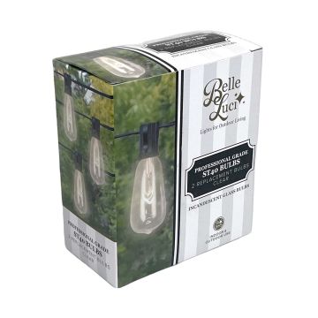 Belle Luci Incandescent ST40 Edison Bulbs Clear 2 Pack