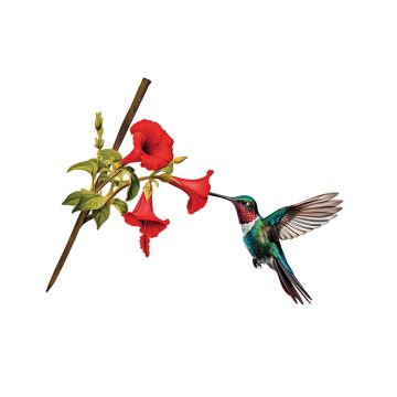 Spinfinity Design Hummingbird - Tree Stake